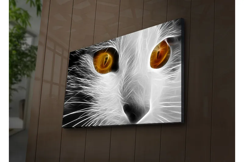 Lerretsbilde med LED-belysning 45x70 cm - Katteansikt med intense øyne - Hvit / Svart / Oransje - Interiør - Maleri & posters - Lerretsbilder