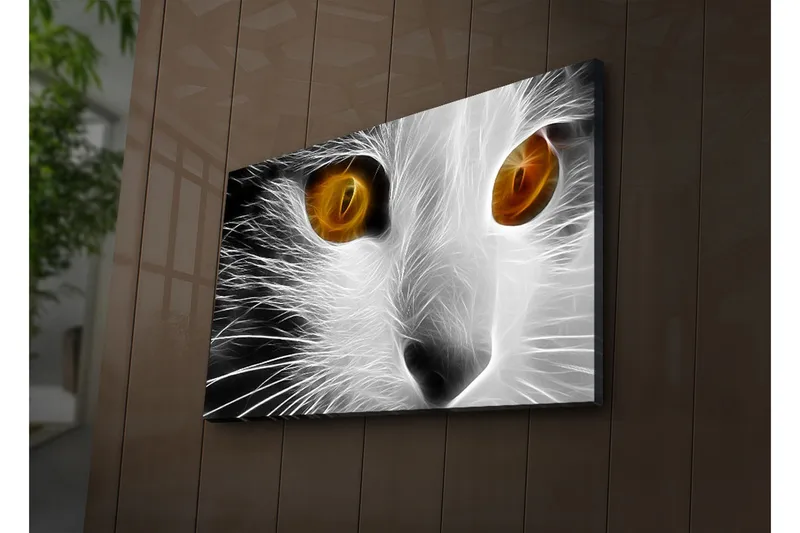 Lerretsbilde med LED-belysning 45x70 cm - Katteansikt med intense øyne - Hvit / Svart / Oransje - Interiør - Maleri & posters - Lerretsbilder