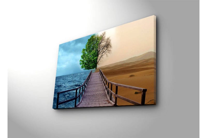 Lerretsbilde med LED-belysning 45x70 cm - Kontrast mellom en frodig trelinje og et ørkenlandskap - Grønn / Blå / Beige - Interiør - Maleri & posters - Lerretsbilder