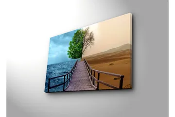 Lerretsbilde med LED-belysning 45x70 cm - Kontrast mellom en frodig trelinje og et ørkenlandskap - Grønn / Blå / Beige - Interiør - Maleri & posters - Lerretsbilder