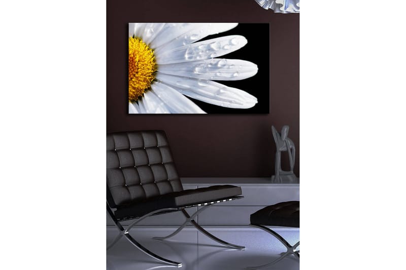 Lerretsbilde med LED-belysning 45x70 cm - Nærbilde av en tusenfryd med vanndråper på bladene - Hvit / Gul - Interiør - Maleri & posters - Lerretsbilder
