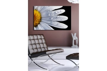 Lerretsbilde med LED-belysning 45x70 cm - Nærbilde av en tusenfryd med vanndråper på bladene - Hvit / Gul - Interiør - Maleri & posters - Lerretsbilder