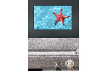 Lerretsbilde med LED-belysning 45x70 cm - Rød sjøstjerne på en klar blå vannoverflate - Rød / Klar blå - Interiør - Maleri & posters - Lerretsbilder