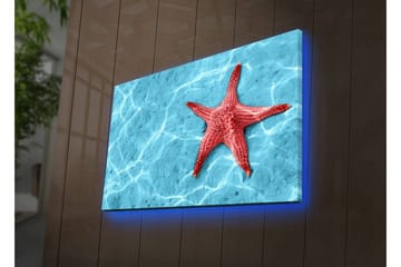 Lerretsbilde med LED-belysning 45x70 cm - Rød sjøstjerne på en klar blå vannoverflate - Rød / Klar blå - Interiør - Maleri & posters - Lerretsbilder