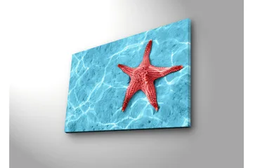 Lerretsbilde med LED-belysning 45x70 cm - Rød sjøstjerne på en klar blå vannoverflate - Rød / Klar blå - Interiør - Maleri & posters - Lerretsbilder