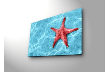 Lerretsbilde med LED-belysning 45x70 cm - Rød sjøstjerne på en klar blå vannoverflate - Rød / Klar blå - Interiør - Maleri & posters - Lerretsbilder