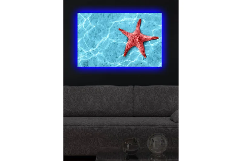 Lerretsbilde med LED-belysning 45x70 cm - Rød sjøstjerne på en klar blå vannoverflate - Rød / Klar blå - Interiør - Maleri & posters - Lerretsbilder