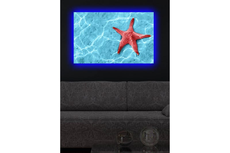 Lerretsbilde med LED-belysning 45x70 cm - Rød sjøstjerne på en klar blå vannoverflate - Rød / Klar blå - Interiør - Maleri & posters - Lerretsbilder