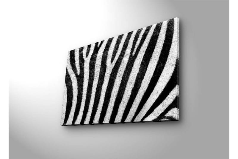 Lerretsbilde med LED-belysning 45x70 cm - Sebra med kontrasterende svarte og hvite striper - Svart / Hvit - Interiør - Maleri & posters - Lerretsbilder