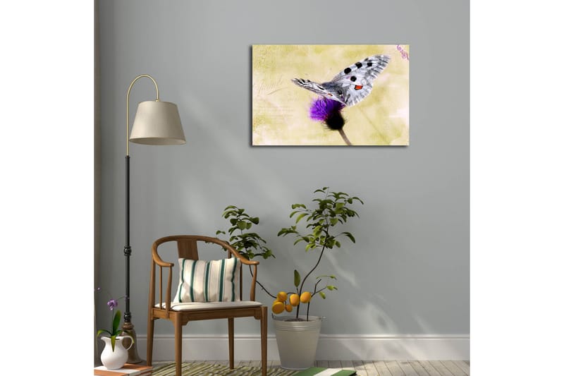 Lerretsbilde med LED-belysning 45x70 cm - Sommerfugl sittende på en blomst - Lilla / Grå / Gul - Interiør - Maleri & posters - Lerretsbilder