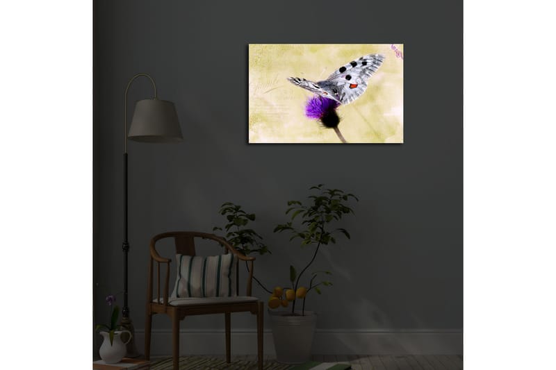 Lerretsbilde med LED-belysning 45x70 cm - Sommerfugl sittende på en blomst - Lilla / Grå / Gul - Interiør - Maleri & posters - Lerretsbilder