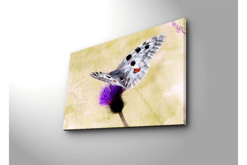 Lerretsbilde med LED-belysning 45x70 cm - Sommerfugl sittende på en blomst - Lilla / Grå / Gul - Interiør - Maleri & posters - Lerretsbilder