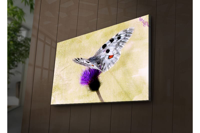 Lerretsbilde med LED-belysning 45x70 cm - Sommerfugl sittende på en blomst - Lilla / Grå / Gul - Interiør - Maleri & posters - Lerretsbilder