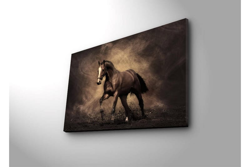 Lerretsbilde med LED-belysning 45x70 cm - Stolt hest i bevegelse - Mørk brun / Beige / Svart - Interiør - Maleri & posters - Lerretsbilder