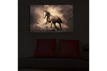 Lerretsbilde med LED-belysning 45x70 cm - Stolt hest i bevegelse - Mørk brun / Beige / Svart - Interiør - Maleri & posters - Lerretsbilder