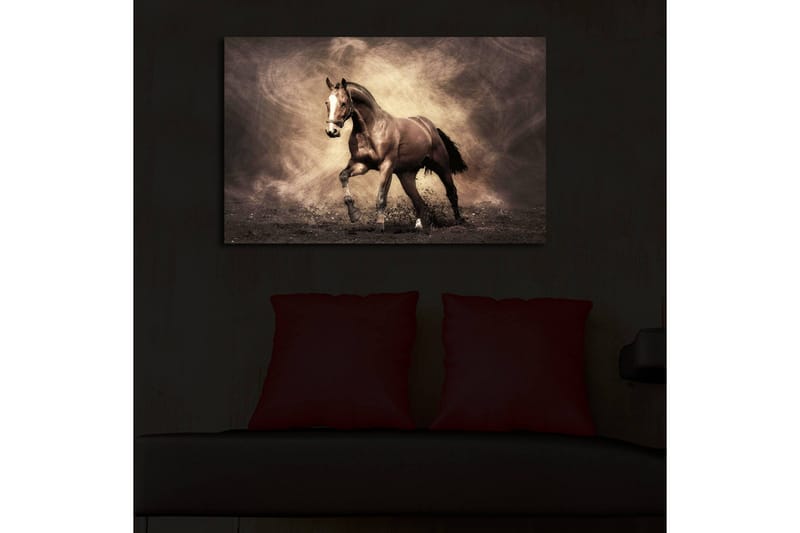 Lerretsbilde med LED-belysning 45x70 cm - Stolt hest i bevegelse - Mørk brun / Beige / Svart - Interiør - Maleri & posters - Lerretsbilder