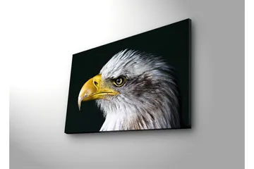 Lerretsbilde med LED-belysning 45x70 cm - Storslått ørn med intenst blikk - Hvit / Gul / Svart - Interiør - Maleri & posters - Lerretsbilder