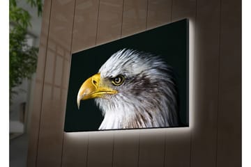 Lerretsbilde med LED-belysning 45x70 cm - Storslått ørn med intenst blikk - Hvit / Gul / Svart - Interiør - Maleri & posters - Lerretsbilder