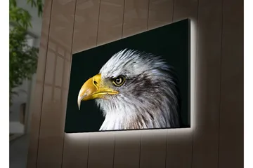 Lerretsbilde med LED-belysning 45x70 cm - Storslått ørn med intenst blikk - Hvit / Gul / Svart - Interiør - Maleri & posters - Lerretsbilder