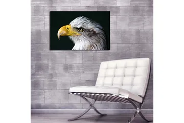 Lerretsbilde med LED-belysning 45x70 cm - Storslått ørn med intenst blikk - Hvit / Gul / Svart - Interiør - Maleri & posters - Lerretsbilder