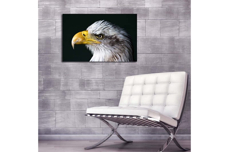 Lerretsbilde med LED-belysning 45x70 cm - Storslått ørn med intenst blikk - Hvit / Gul / Svart - Interiør - Maleri & posters - Lerretsbilder