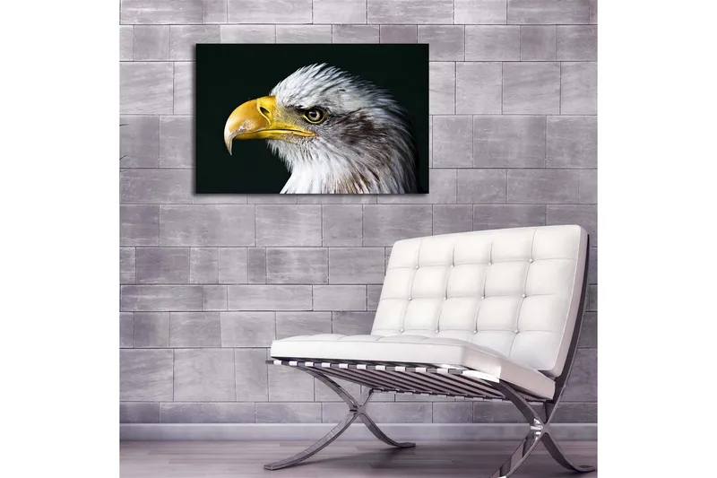 Lerretsbilde med LED-belysning 45x70 cm - Storslått ørn med intenst blikk - Hvit / Gul / Svart - Interiør - Maleri & posters - Lerretsbilder