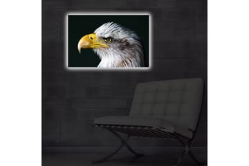Lerretsbilde med LED-belysning 45x70 cm - Storslått ørn med intenst blikk - Hvit / Gul / Svart - Interiør - Maleri & posters - Lerretsbilder