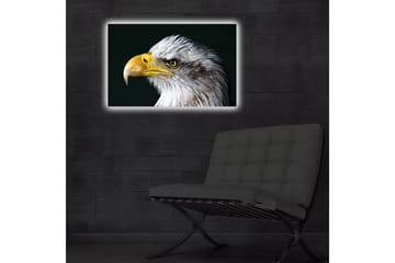 Lerretsbilde med LED-belysning 45x70 cm - Storslått ørn med intenst blikk - Hvit / Gul / Svart - Interiør - Maleri & posters - Lerretsbilder