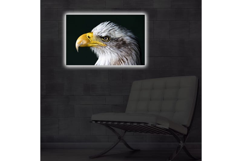 Lerretsbilde med LED-belysning 45x70 cm - Storslått ørn med intenst blikk - Hvit / Gul / Svart - Interiør - Maleri & posters - Lerretsbilder