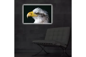 Lerretsbilde med LED-belysning 45x70 cm - Storslått ørn med intenst blikk - Hvit / Gul / Svart - Interiør - Maleri & posters - Lerretsbilder