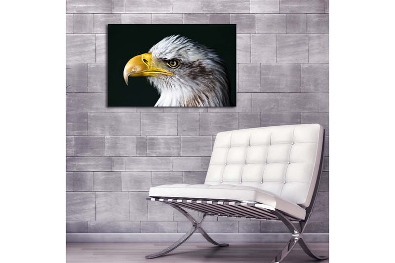 Lerretsbilde med LED-belysning 45x70 cm - Storslått ørn med intenst blikk - Hvit / Gul / Svart - Interiør - Maleri & posters - Lerretsbilder