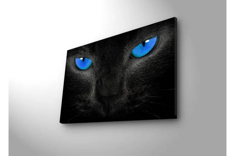 Lerretsbilde med LED-belysning 45x70 cm - Svart katt med intense blå øyne - Svart / Blå - Interiør - Maleri & posters - Lerretsbilder