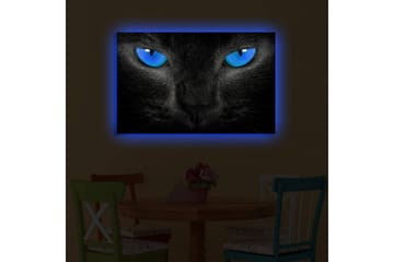 Lerretsbilde med LED-belysning 45x70 cm - Svart katt med intense blå øyne - Svart / Blå - Interiør - Maleri & posters - Lerretsbilder