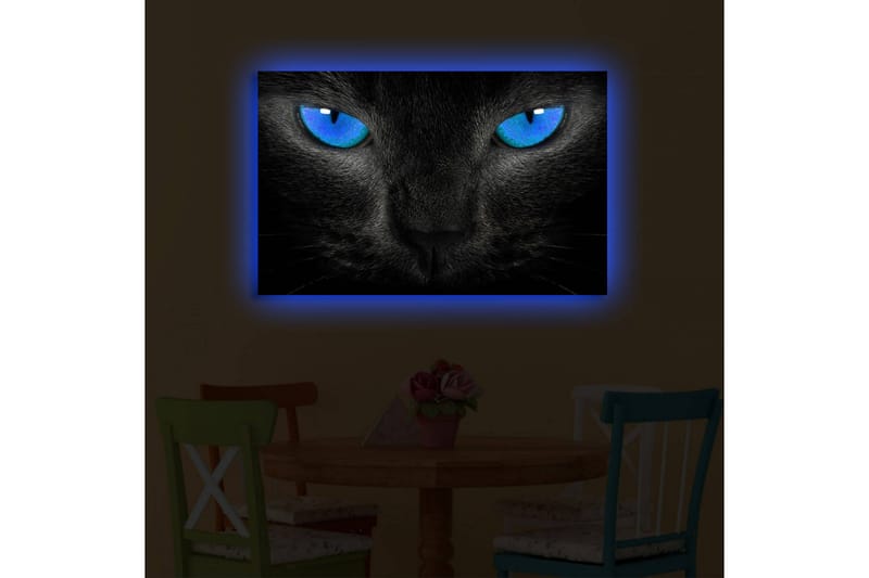 Lerretsbilde med LED-belysning 45x70 cm - Svart katt med intense blå øyne - Svart / Blå - Interiør - Maleri & posters - Lerretsbilder