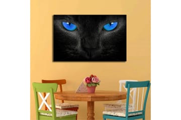 Lerretsbilde med LED-belysning 45x70 cm - Svart katt med intense blå øyne - Svart / Blå - Interiør - Maleri & posters - Lerretsbilder