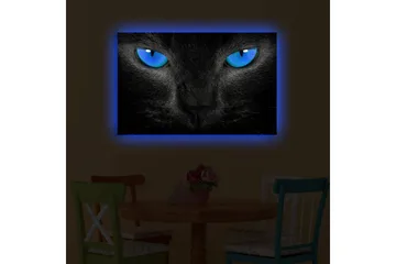 Lerretsbilde med LED-belysning 45x70 cm - Svart katt med intense blå øyne - Svart / Blå - Interiør - Maleri & posters - Lerretsbilder