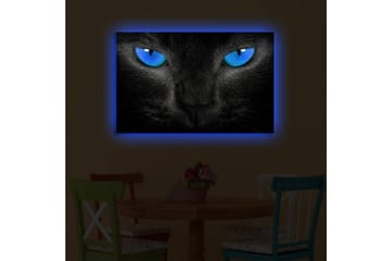 Lerretsbilde med LED-belysning 45x70 cm - Svart katt med intense blå øyne - Svart / Blå - Interiør - Maleri & posters - Lerretsbilder