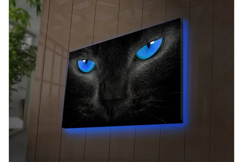 Lerretsbilde med LED-belysning 45x70 cm - Svart katt med intense blå øyne, Svart / Blå