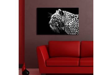 Lerretsbilde med LED-belysning 45x70 cm - Svart og hvit leopardprofil med detaljert pelsstruktur - Svart / Hvit - Interiør - Maleri & posters - Lerretsbilder