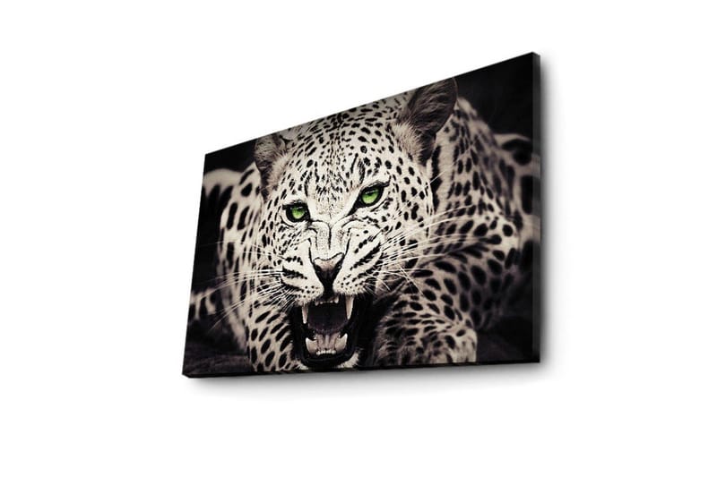 Lerretsbilde med LED-belysning 45x70 cm - Vill leopard med intenst blikk og åpen munn - Hvit / Svart / Grønn - Interiør - Maleri & posters - Lerretsbilder
