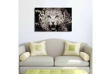 Lerretsbilde med LED-belysning 45x70 cm - Vill leopard med intenst blikk og åpen munn - Hvit / Svart / Grønn - Interiør - Maleri & posters - Lerretsbilder