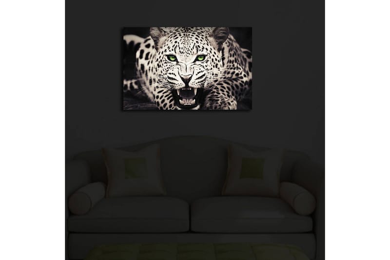 Lerretsbilde med LED-belysning 45x70 cm - Vill leopard med intenst blikk og åpen munn - Hvit / Svart / Grønn - Interiør - Maleri & posters - Lerretsbilder