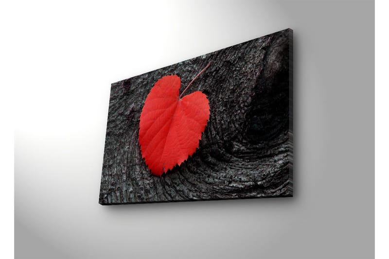 Lerretsbilde med LED-belysning 50x70 cm - Røde hjerteformede blader på en mørk treflate - Rød / Svart - Interiør - Maleri & posters - Lerretsbilder