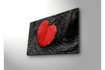 Lerretsbilde med LED-belysning 50x70 cm - Røde hjerteformede blader på en mørk treflate - Rød / Svart - Interiør - Maleri & posters - Lerretsbilder