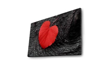 Lerretsbilde med LED-belysning 50x70 cm - Røde hjerteformede blader på en mørk treflate - Rød / Svart - Interiør - Maleri & posters - Lerretsbilder