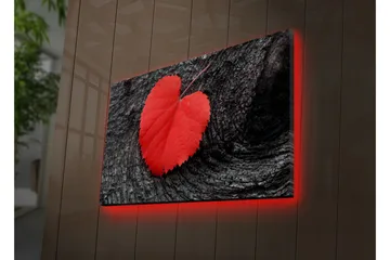 Lerretsbilde med LED-belysning 50x70 cm - Røde hjerteformede blader på en mørk treflate - Rød / Svart - Interiør - Maleri & posters - Lerretsbilder