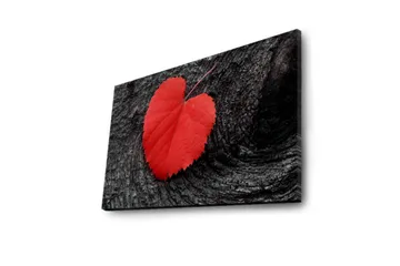 Lerretsbilde med LED-belysning 50x70 cm - Røde hjerteformede blader på en mørk treflate - Rød / Svart - Interiør - Maleri & posters - Lerretsbilder