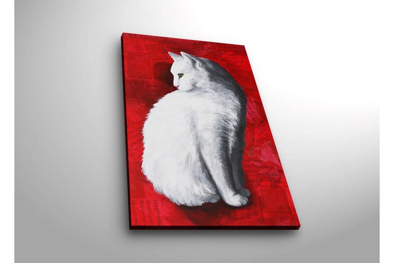 Lerretsbilde med LED-belysning 70x45 cm - Hvit katt på rød bakgrunn - Hvit / Rød - Interiør - Maleri & posters - Lerretsbilder