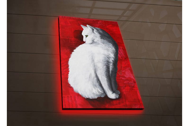 Lerretsbilde med LED-belysning 70x45 cm - Hvit katt på rød bakgrunn - Hvit / Rød - Interiør - Maleri & posters - Lerretsbilder