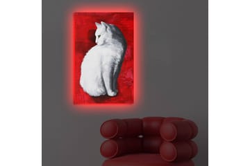 Lerretsbilde med LED-belysning 70x45 cm - Hvit katt på rød bakgrunn - Hvit / Rød - Interiør - Maleri & posters - Lerretsbilder